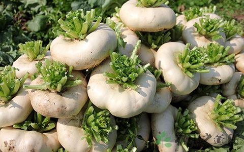 盘菜的吃法_哪些人不能吃盘菜