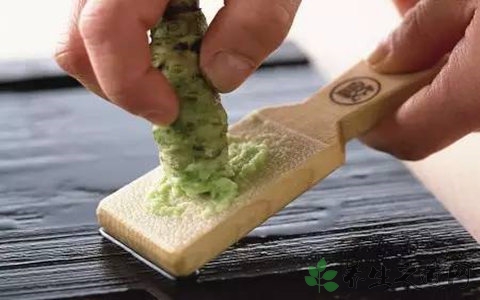 辣根的吃法_哪些人不能吃辣根
