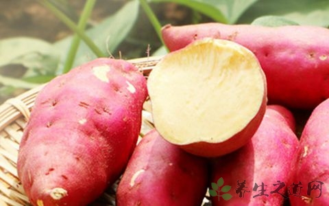 新鲜冬瓜皮能减肥吗