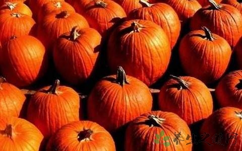 金丝南瓜的营养价值_吃金丝南瓜的好处