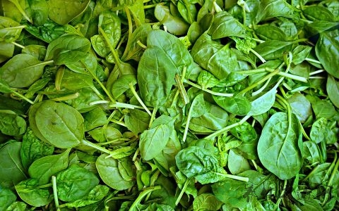 含草酸的蔬菜有哪些