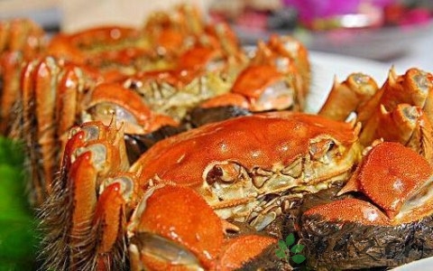 新鲜螃蟹怎么存放 新鲜螃蟹怎么存放