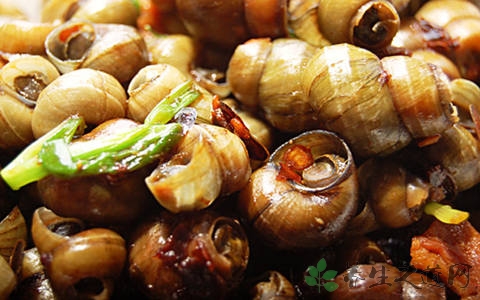 南美螺的营养价值_吃南美螺的好处 南美螺的营养价值_吃南美螺的好处