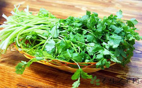 大叶香菜的吃法_哪些人不能吃大叶香菜 大叶香菜的吃法_哪些人不能吃大叶香菜