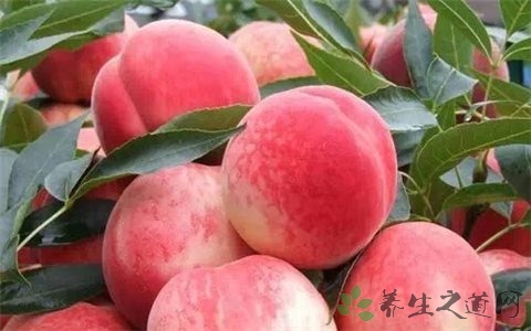 白粉桃的吃法_哪些人不能吃白粉桃