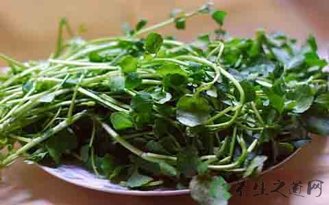 西洋菜的吃法_哪些人不能吃西洋菜 西洋菜的吃法_哪些人不能吃西洋菜