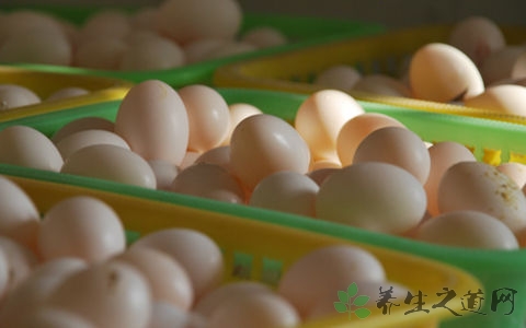 鸽蛋的吃法_哪些人不能吃鸽蛋