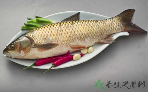 草鱼的吃法_哪些人不能吃草鱼
