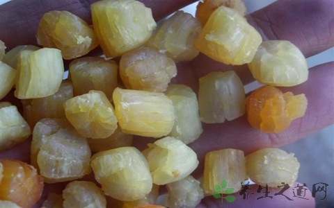 瑶柱的营养价值_吃瑶柱的好处