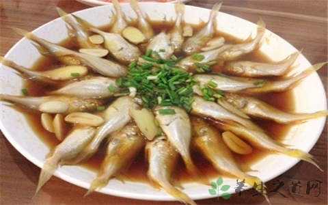 梅童鱼的吃法_哪些人不能吃梅童鱼