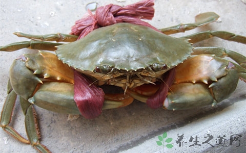 青蟹的吃法_哪些人不能吃青蟹