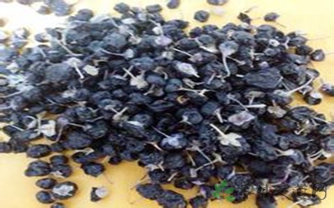 黑枸杞泡酒配方