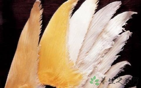 金鲨鱼翅的吃法_哪些人不能吃金鲨鱼翅