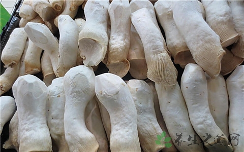 杏鲍菇炒之前用焯么