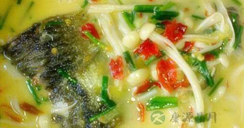 隔夜的金针菇鱼头汤还能不能吃