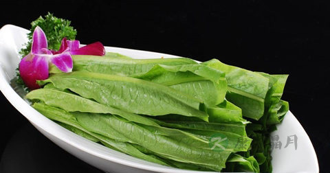 油麦菜和生菜可以一起炒吗