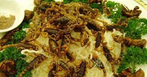 酥炸全蝎什么时候放调料