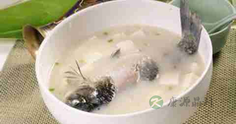 做鲫鱼豆腐糖放什么调料