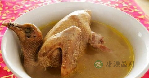 做乳鸽汤放什么调料