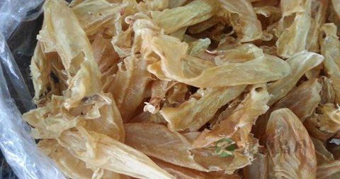 菠饺鱼肚怎么做最有营养