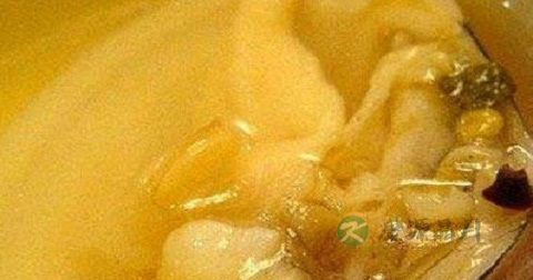 醉蚌什么时候放调料