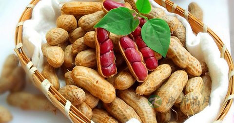 水煮花生怎么做最有营养