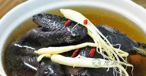 乌骨鸡归黄汤怎么做最有营养