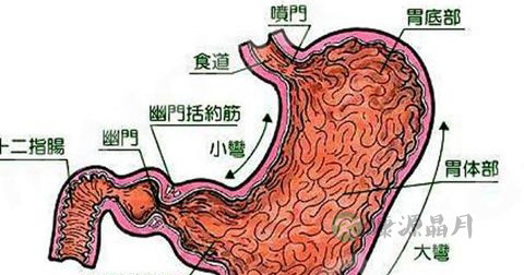 胃酸过多