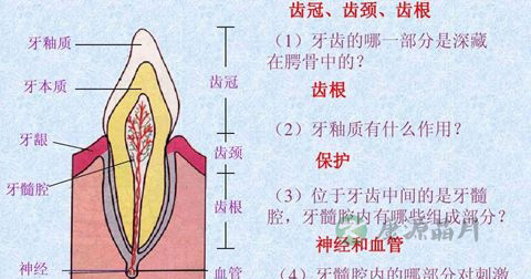 牙疼