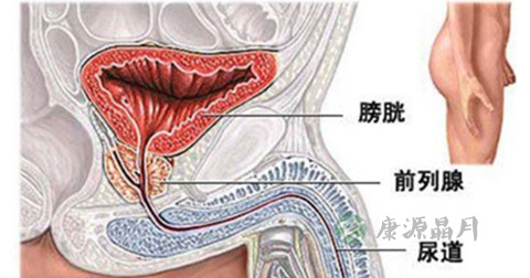 精液发黄