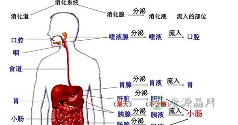 嗳气