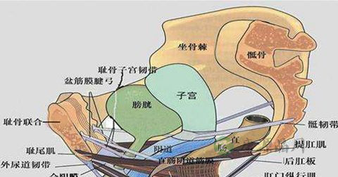 外阴瘙痒