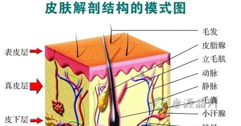 痘印