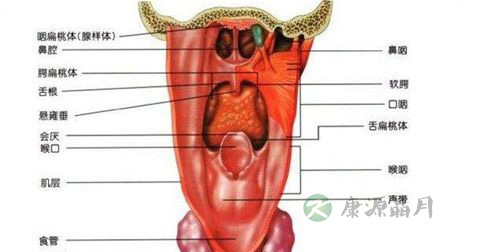 慢性咽炎