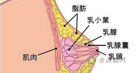 涨奶