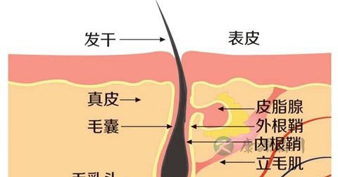 毛孔堵塞