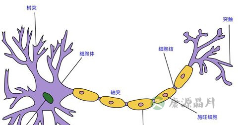 神经衰弱