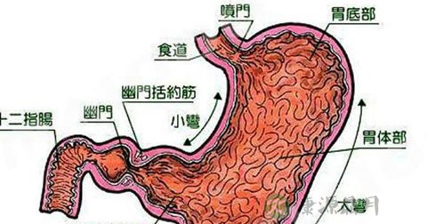 嗳气