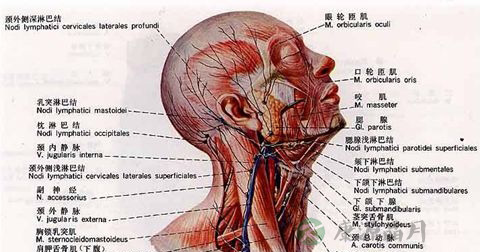 耳后淋巴结肿大