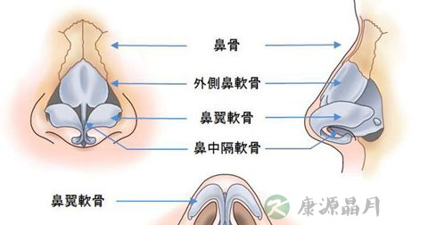 过敏性鼻炎