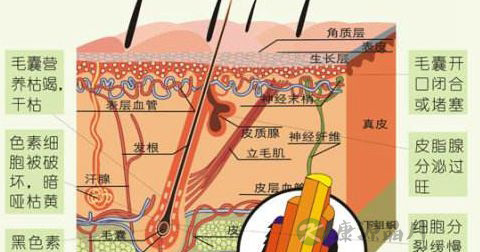 色素沉着