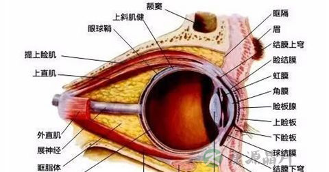 结膜炎