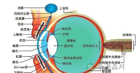 结膜炎