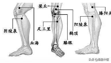 「经典」39个单穴治病详解