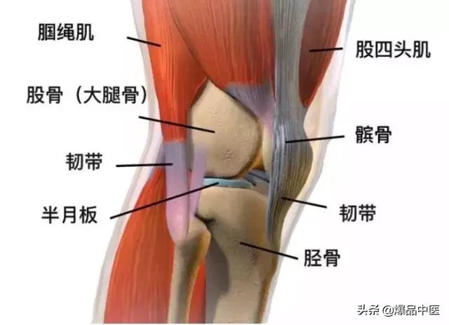 膝关节疼痛一般是什么病？