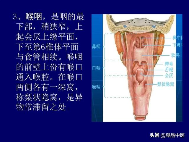 影像解剖 | 颈部影像解剖