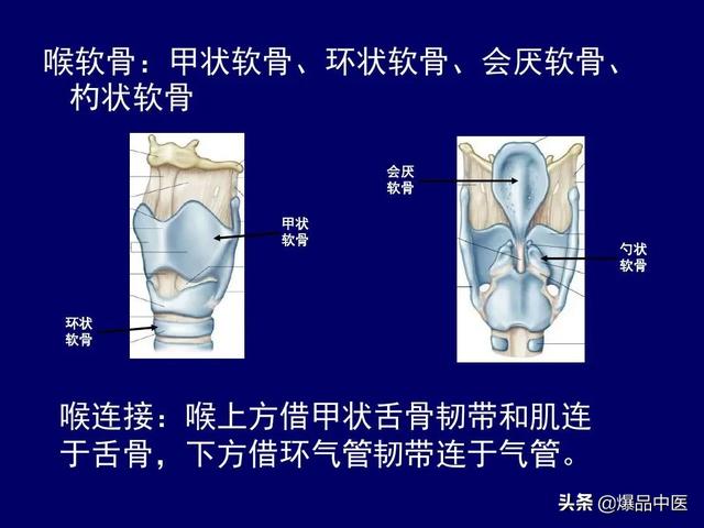 影像解剖 | 颈部影像解剖