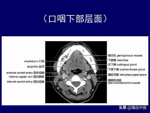 影像解剖 | 颈部影像解剖