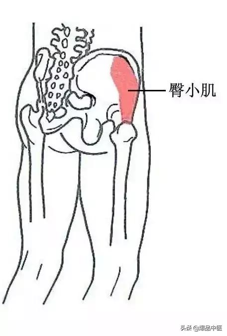 软组织常见压痛点