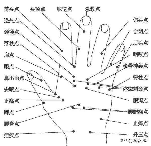 全息图谱：针灸专业必备，拥有完美疗效